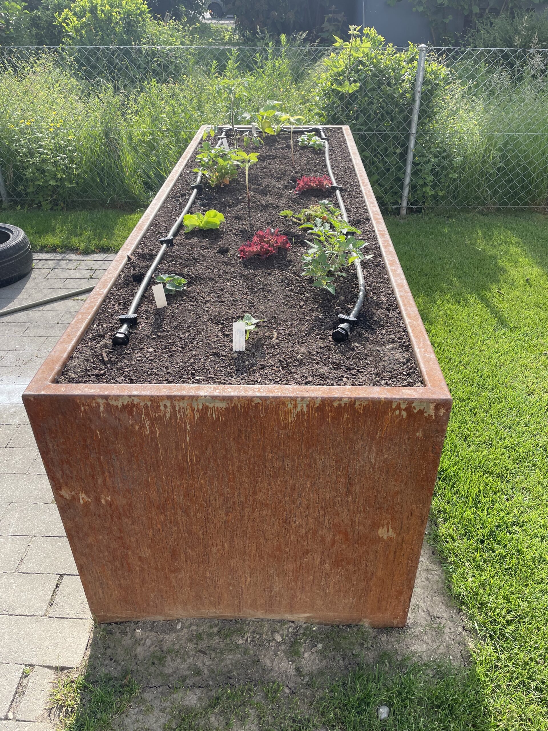 Hochbeet